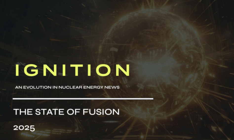 The State of Fusion 2025 